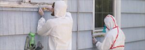 lead paint inspections