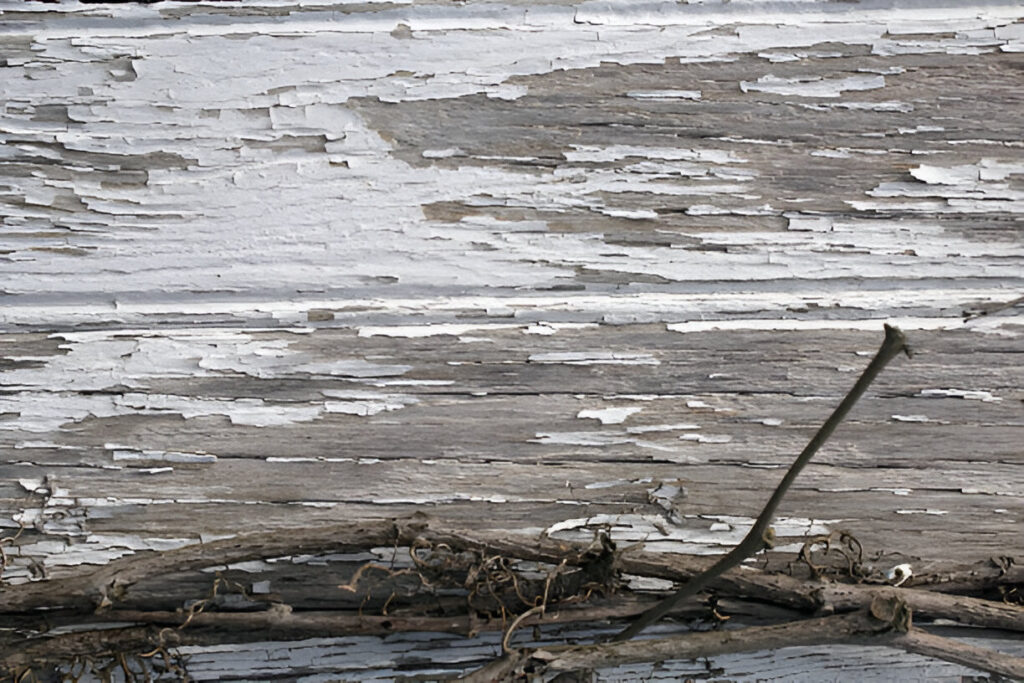 lead Paint