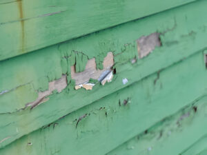 lead violation removal