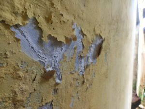 lead violations