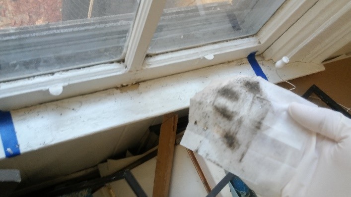 Lead Dust Remediation