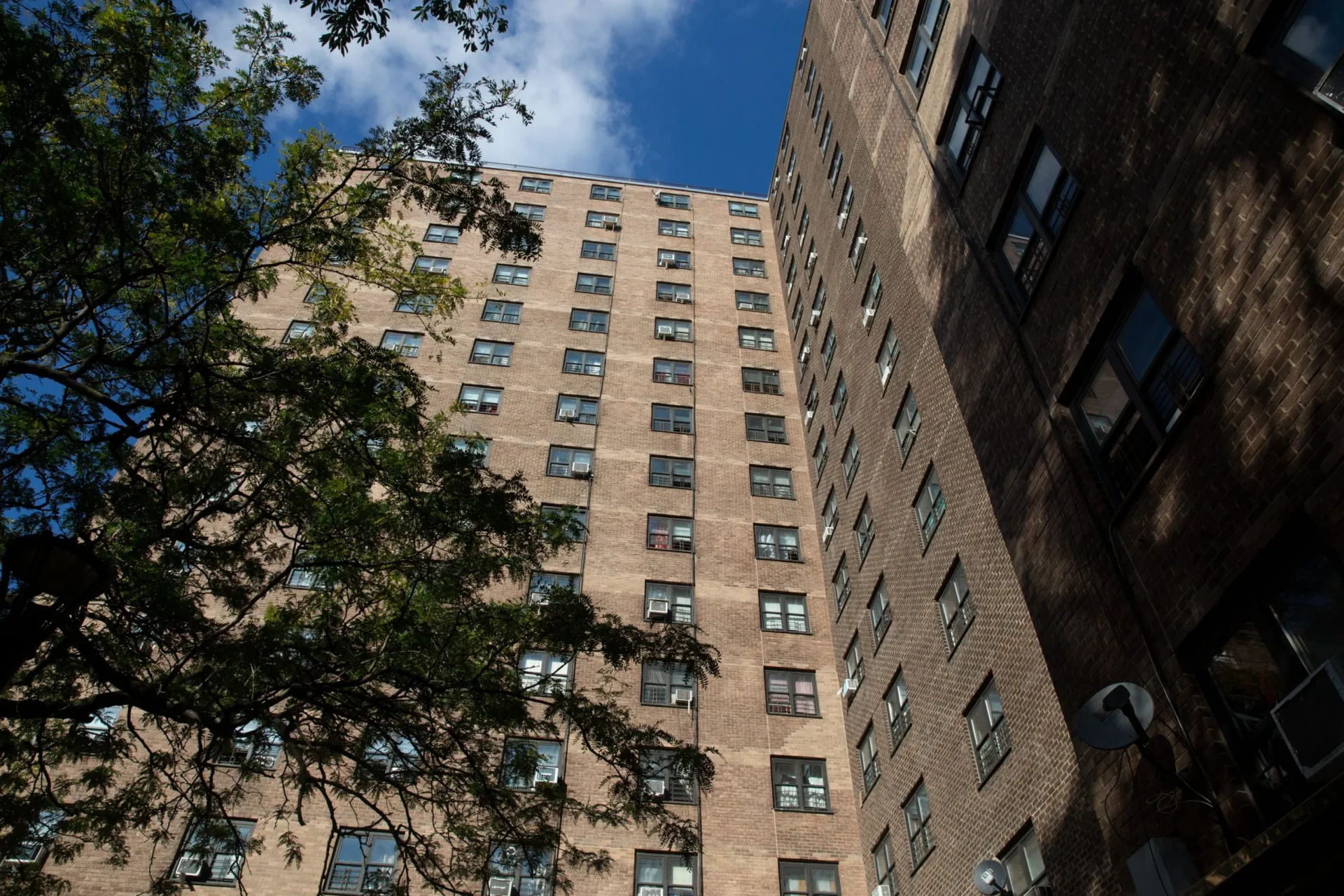 Violations editorial image for Common Causes of DOH Lead Violations in Residential Buildings in NYC